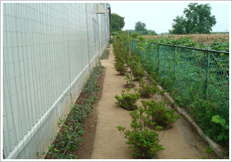自然土防草材ガンコマサの主な使用用途 工場緑化の敷地