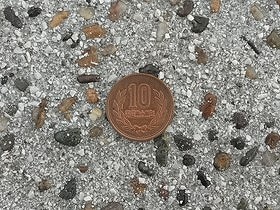 拡大写真
