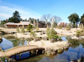 防草土による公園・庭園の雑草対策