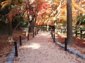 防草土による神社仏閣の遊歩道への雑草対策