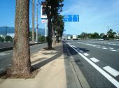 防草土による道路の植樹帯・中央分離帯への雑草対策
