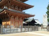 防草土による神社仏閣の雑草対策