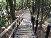 防草土による県立公園の階段・遊歩道への雑草対策