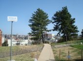 防草土による公園の散歩道への雑草対策