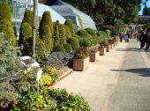 動物園・植物園の遊歩道への雑草・防草対策