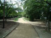 公園の遊歩道への雑草・防草対策