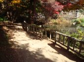 動物園・植物園の遊歩道への雑草・防草対策