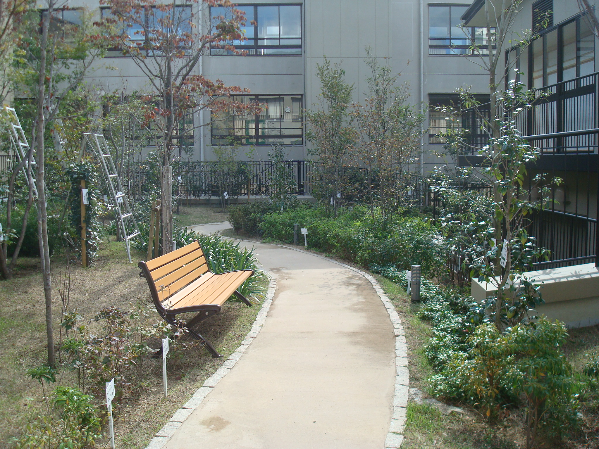 小学校の遊歩道への雑草・防草対策