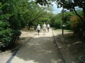 公園の遊歩道への雑草・防草対策