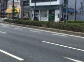 防草土・防草材による和歌山市 国道42号中央分離帯端部（道路/植樹帯）の雑草対策 施工事例