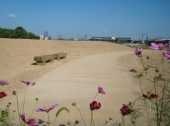 防草土による公園の遊歩道への雑草対策