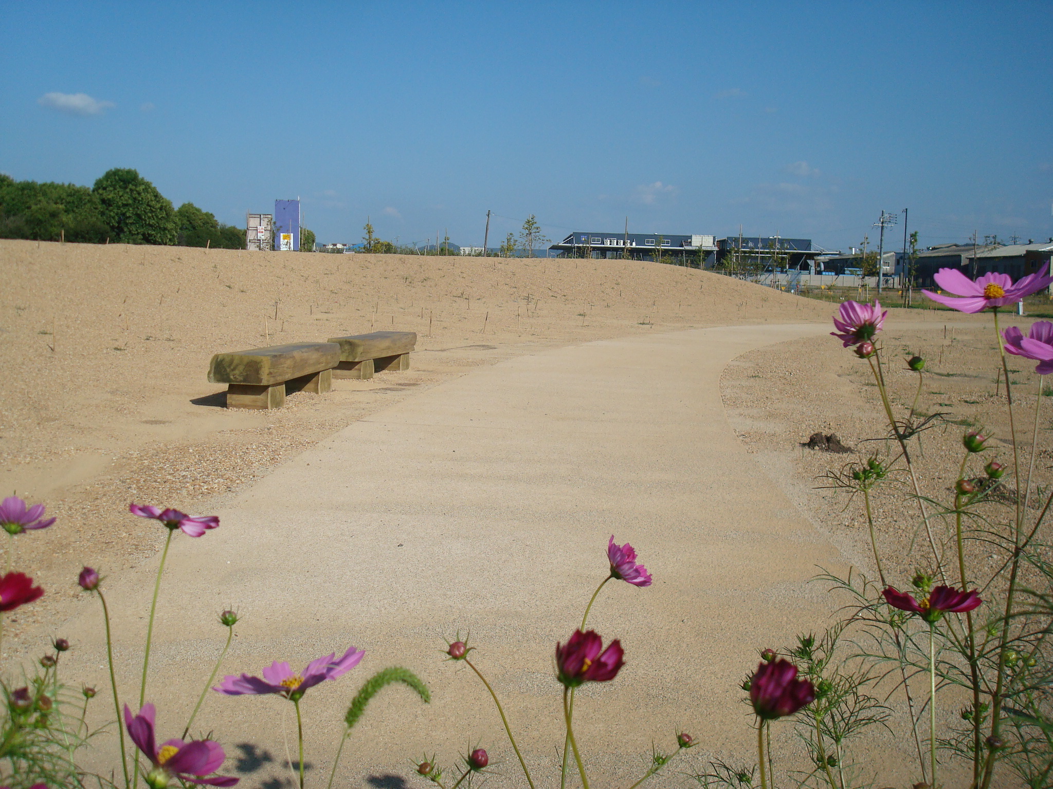 防草土による公園の遊歩道への雑草対策