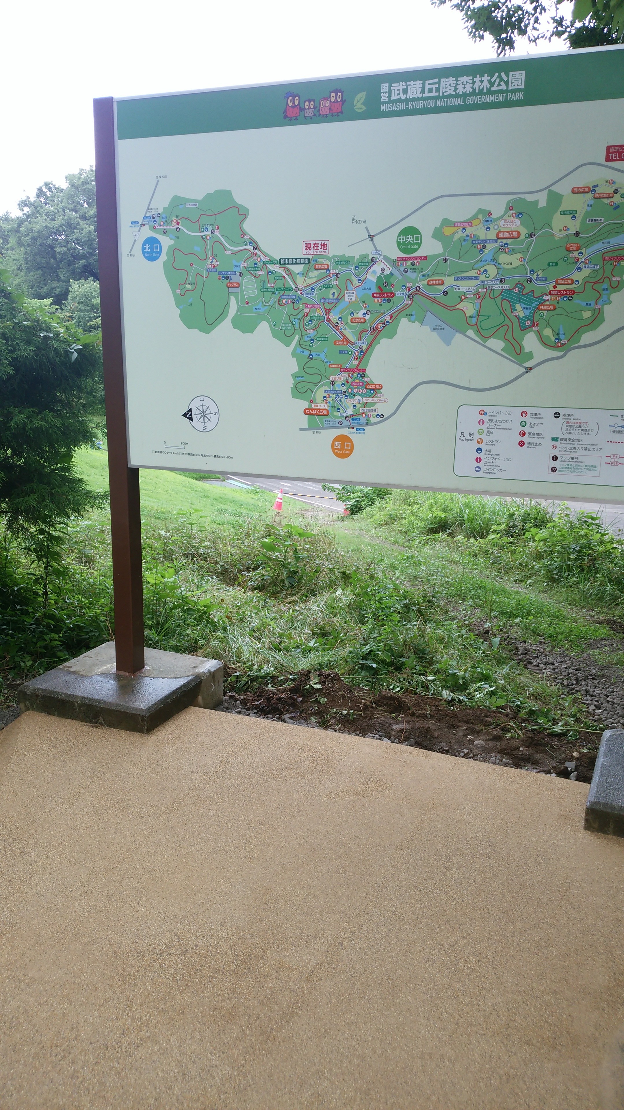 公園の広場への雑草・防草対策