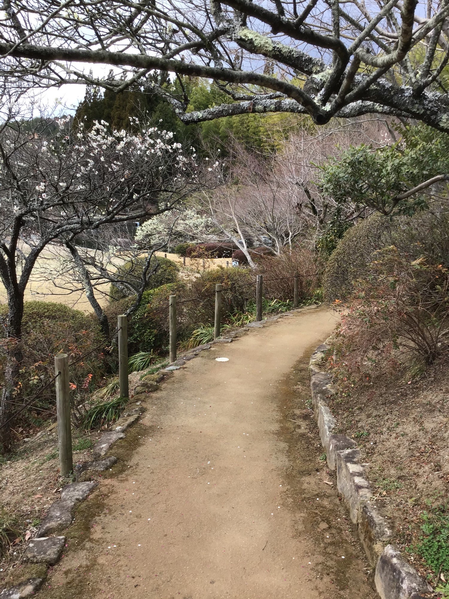 スーパーガンコマサ,ガンコマサ,雑草対策,土舗装,真砂土,YBK工業,防草,舗装,遊歩道,化粧マサ,歩道,公園,歴史,文化財,外構,駐車場,三景園