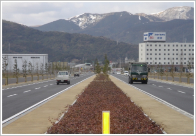 九州ガンコマサの除草例3